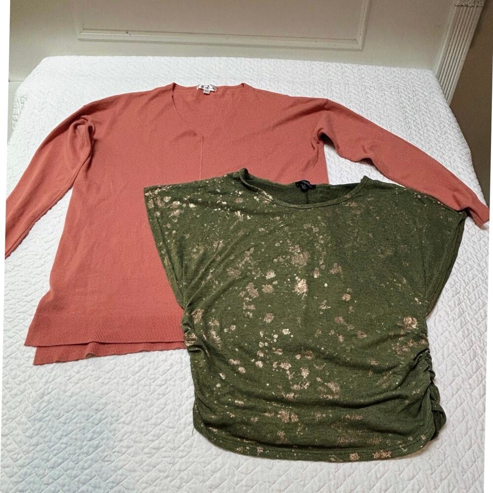 Perfectly Priscilla Salmon Color Sweater - 1XL  &
Rouge Collection Blouse - 1X